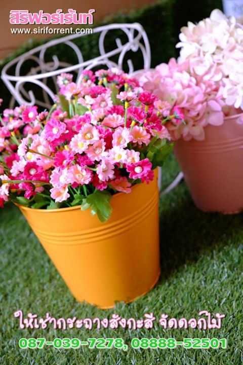 ถังสังกะสีจัดดอกไม้ เช่าถังสังกะสีจัดดอกไม้ เช่าถังสังกะสีสำหรับจัดดอกไม้